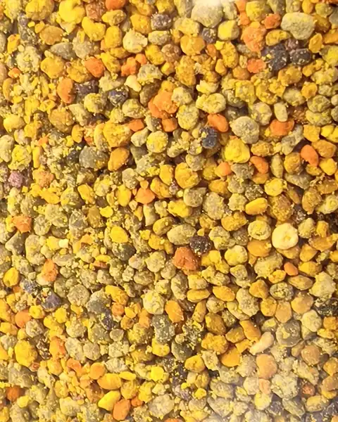 Polen fresco multifloral de varios colores, visto por la ventana de la bolsa de 1 kg