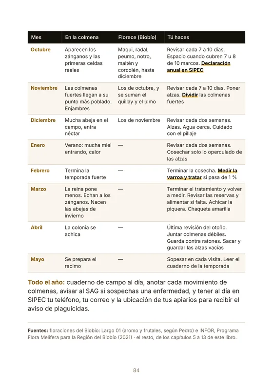 Calendario apícola del centro-sur: qué pasa en la colmena, qué florece en el Biobío y qué haces cada mes