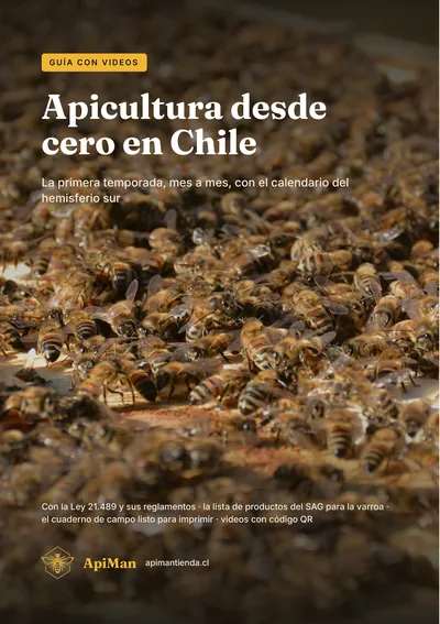 Tapa del libro «Apicultura desde cero en Chile»