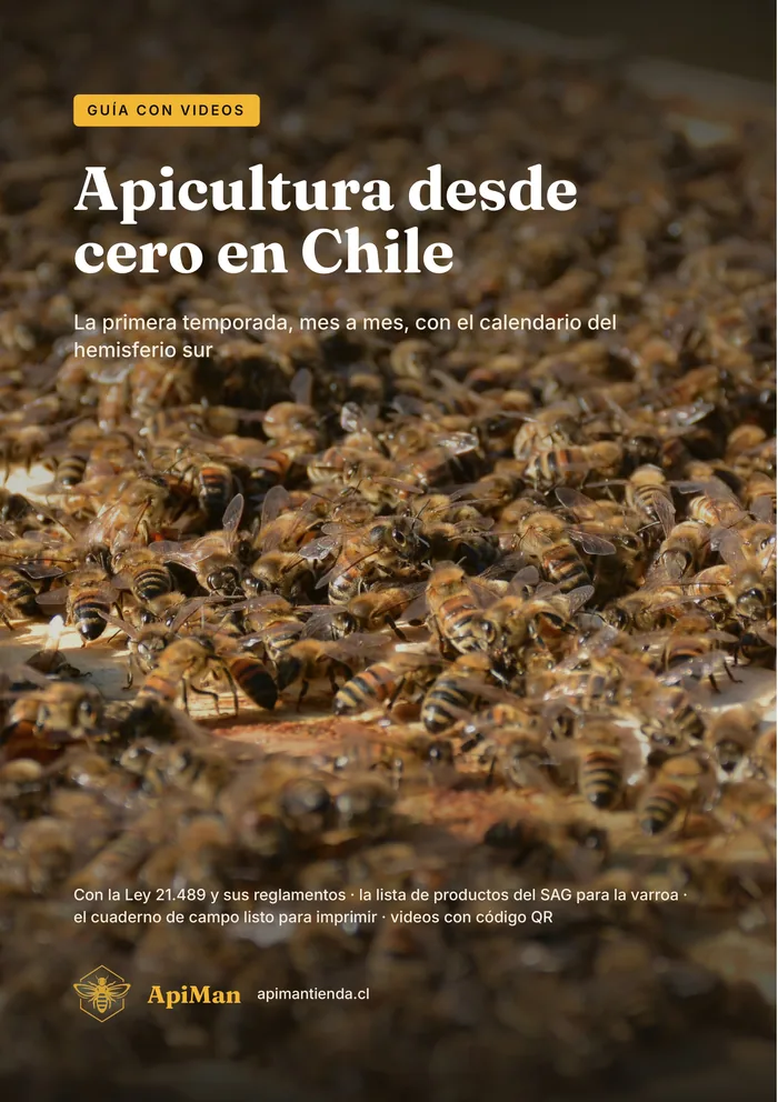 Tapa del libro «Apicultura desde cero en Chile»