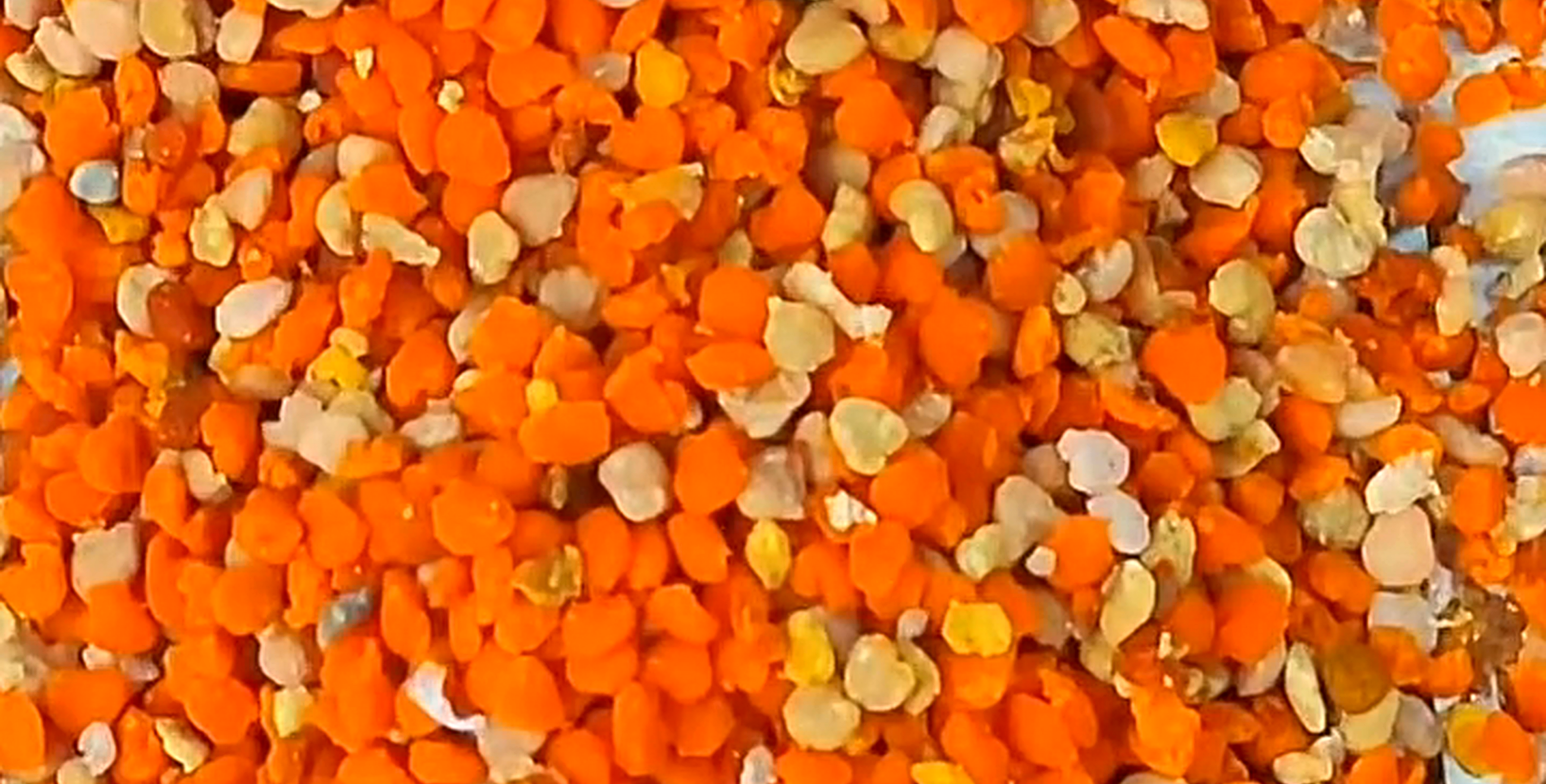 Gránulos de polen de abeja fresco multifloral ApiMan, listos para usar en recetas