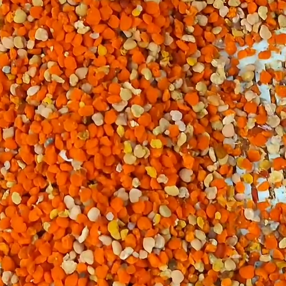 Granos de polen de abeja de colores distintos: la señal de un polen multifloral real