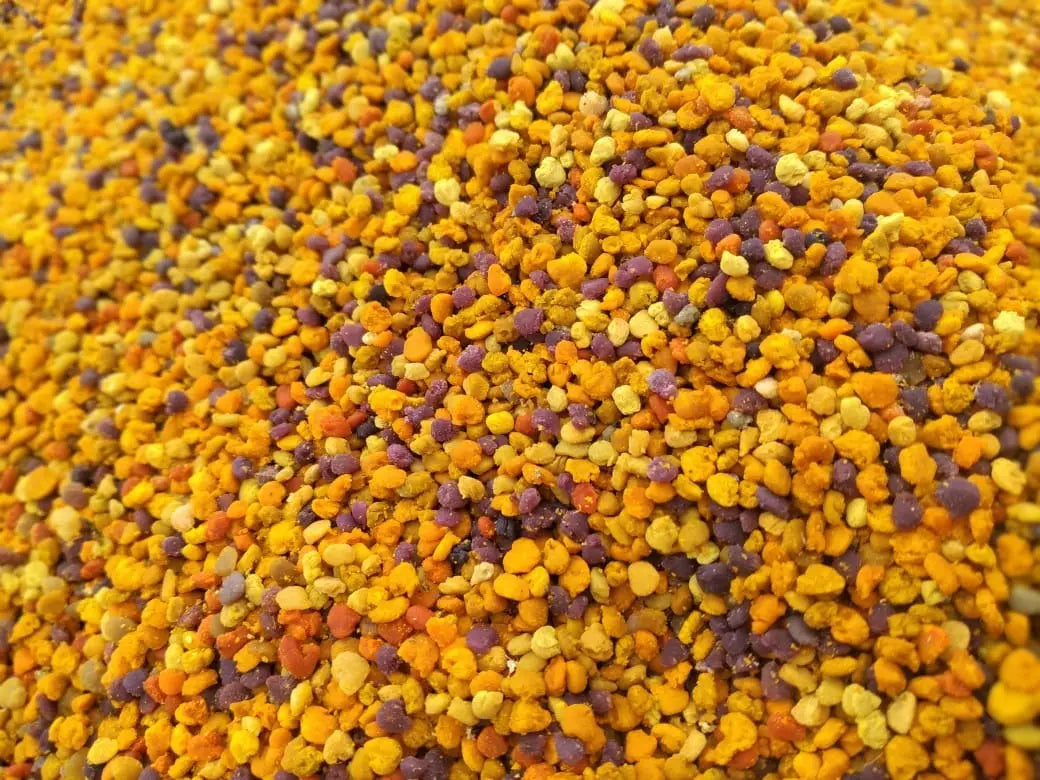 Polen de abeja fresco multifloral · 3 kg