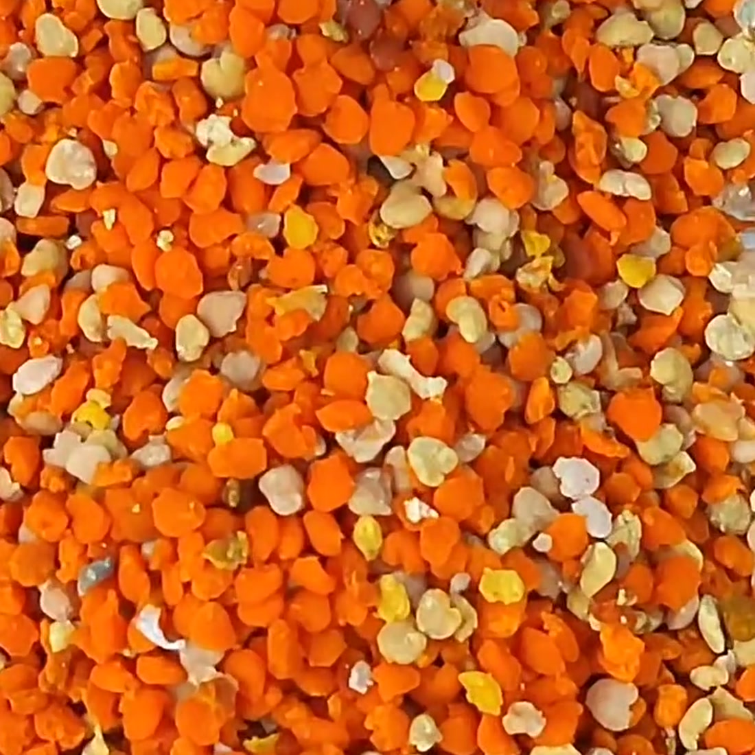 Polen de abeja fresco multifloral, granulado real